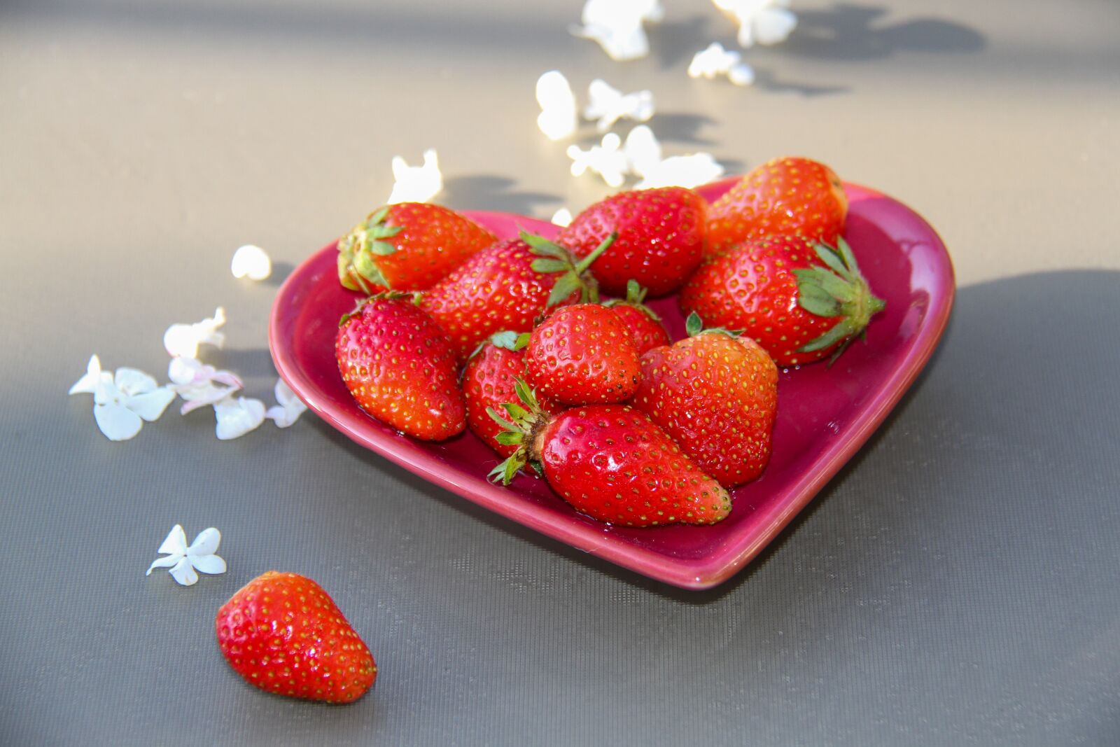 Canon EOS 7D sample photo. Strawberries, terrace, sun photography