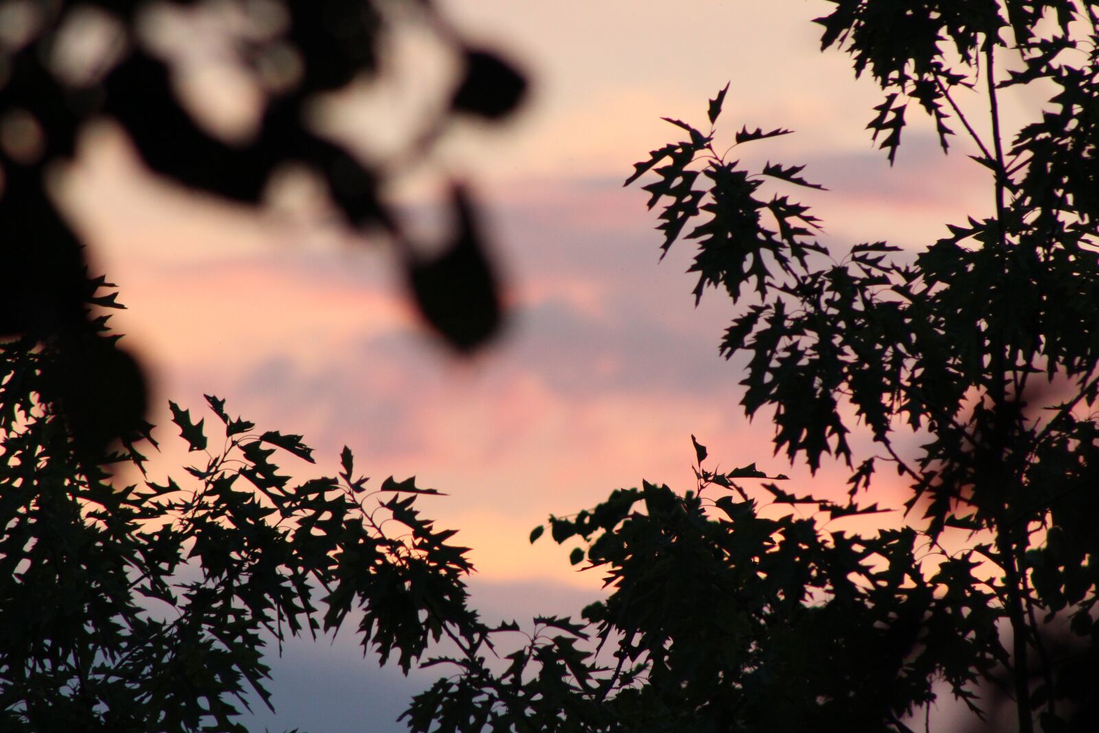 Canon EF75-300mm f/4-5.6 sample photo. Dawn, in the morning photography