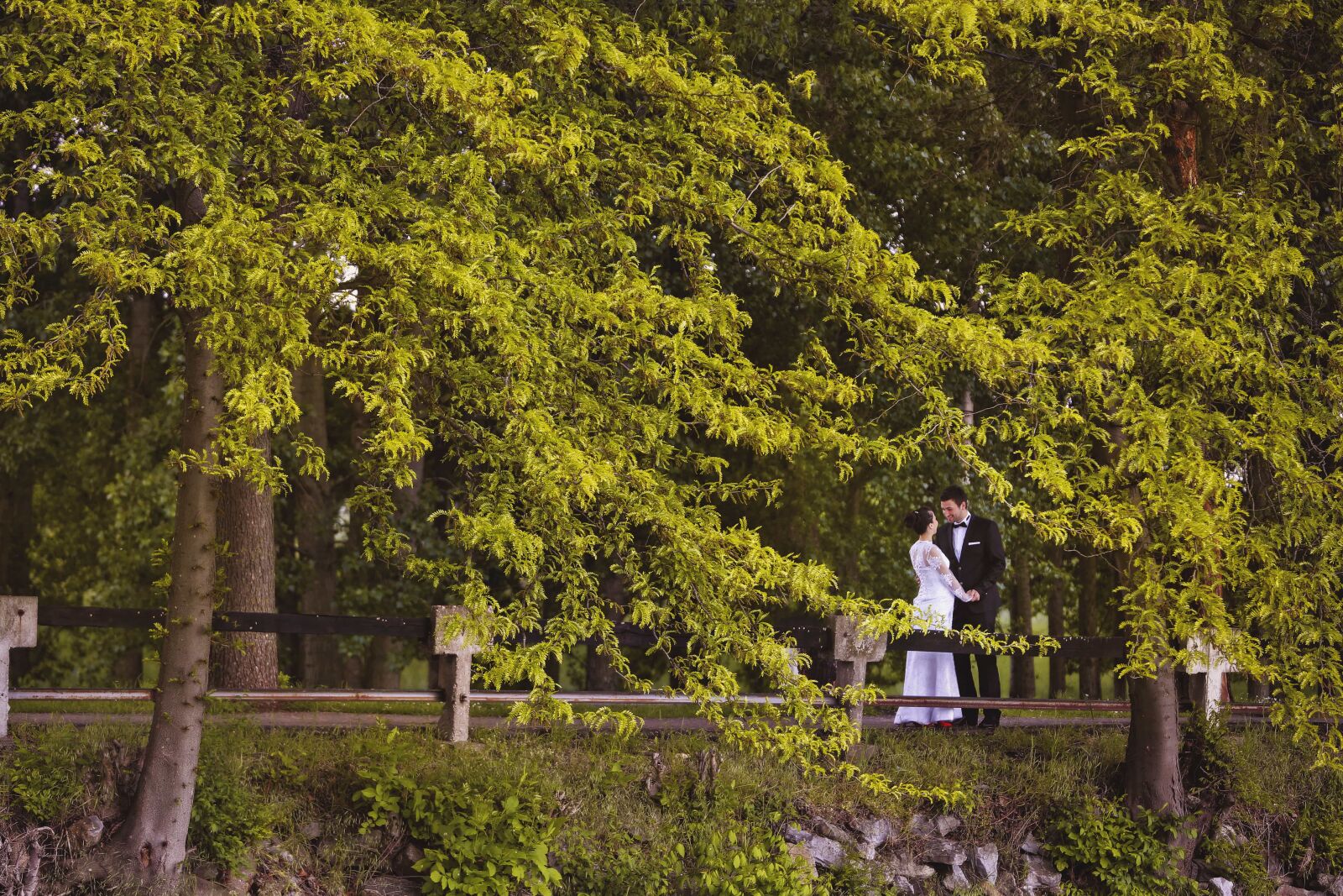 Canon EOS 5D Mark III + Canon EF 70-200mm F2.8L IS USM sample photo. Bride, fashion, forest road photography