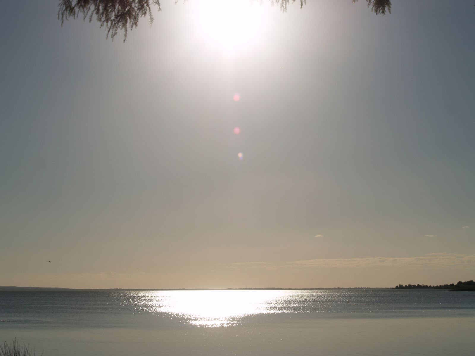 Olympus E-500 (EVOLT E-500) sample photo. Evening sun, lakeside, shore photography