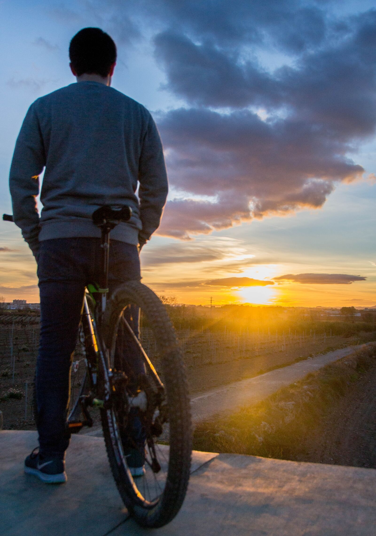 Nikon D3100 sample photo. Sunset, bike, bicycle photography