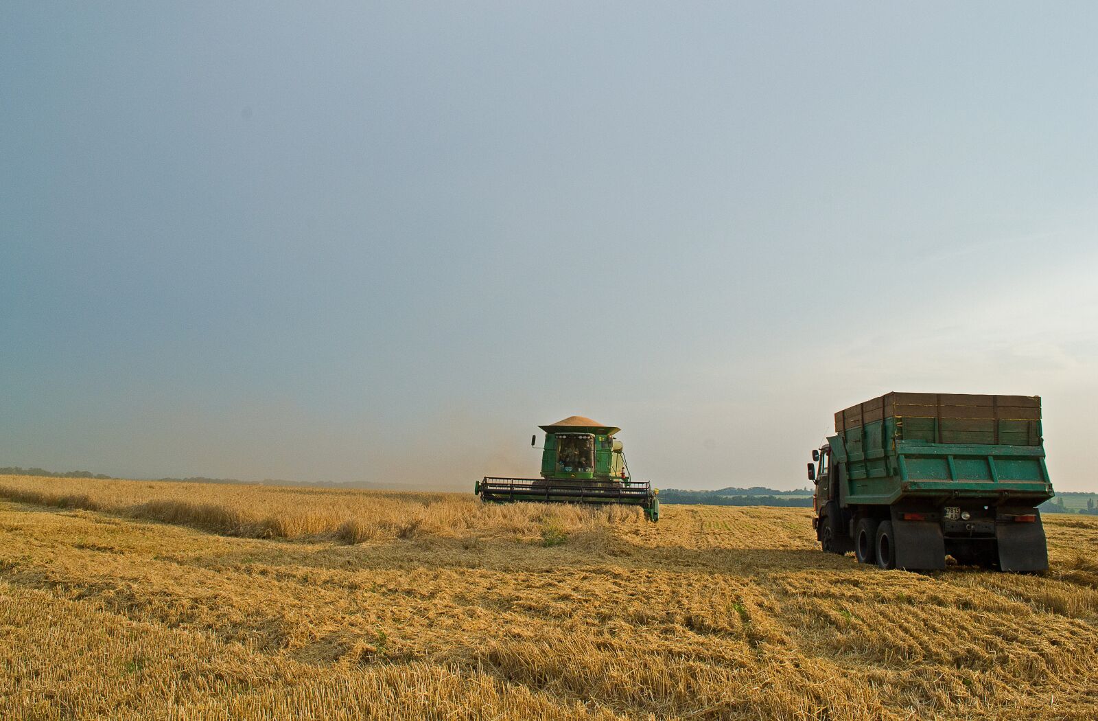 Nikon D3100 sample photo. Summer, harvest, field photography