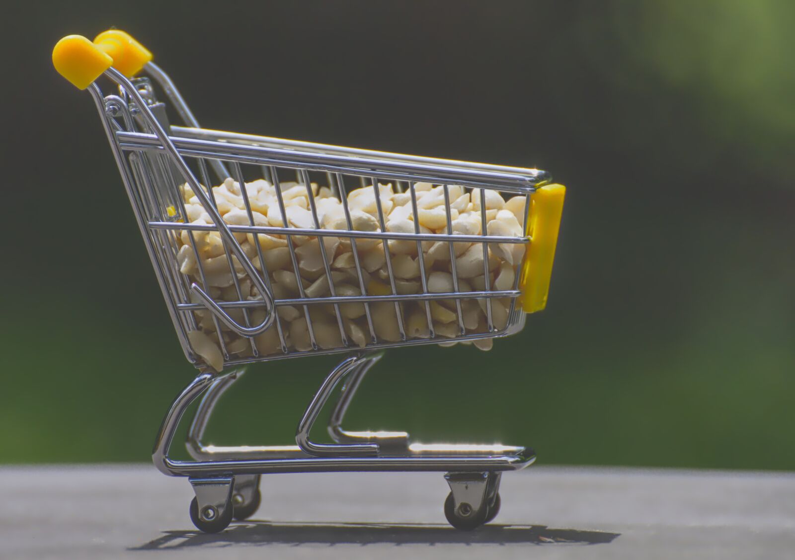 Nikon D7200 sample photo. Shopping cart, peanuts, shopping photography
