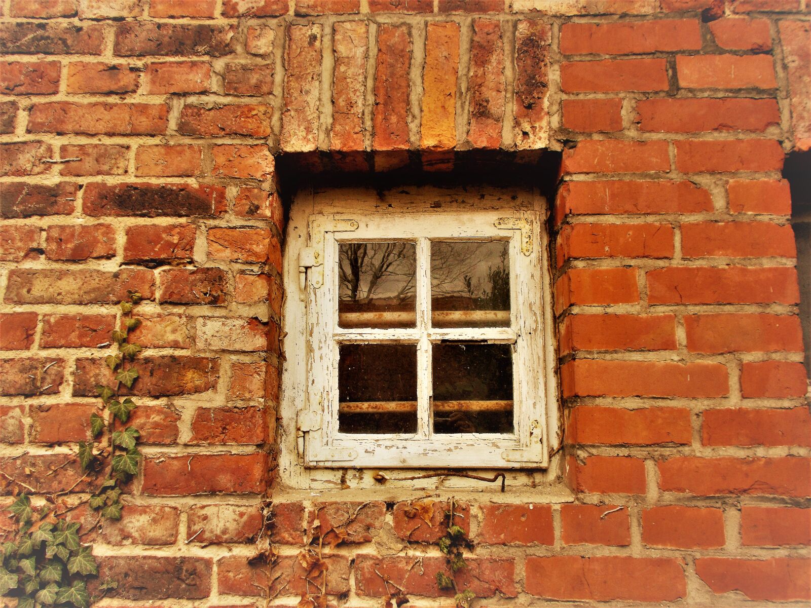 Nikon Coolpix L31 sample photo. Fenster, mauer photography