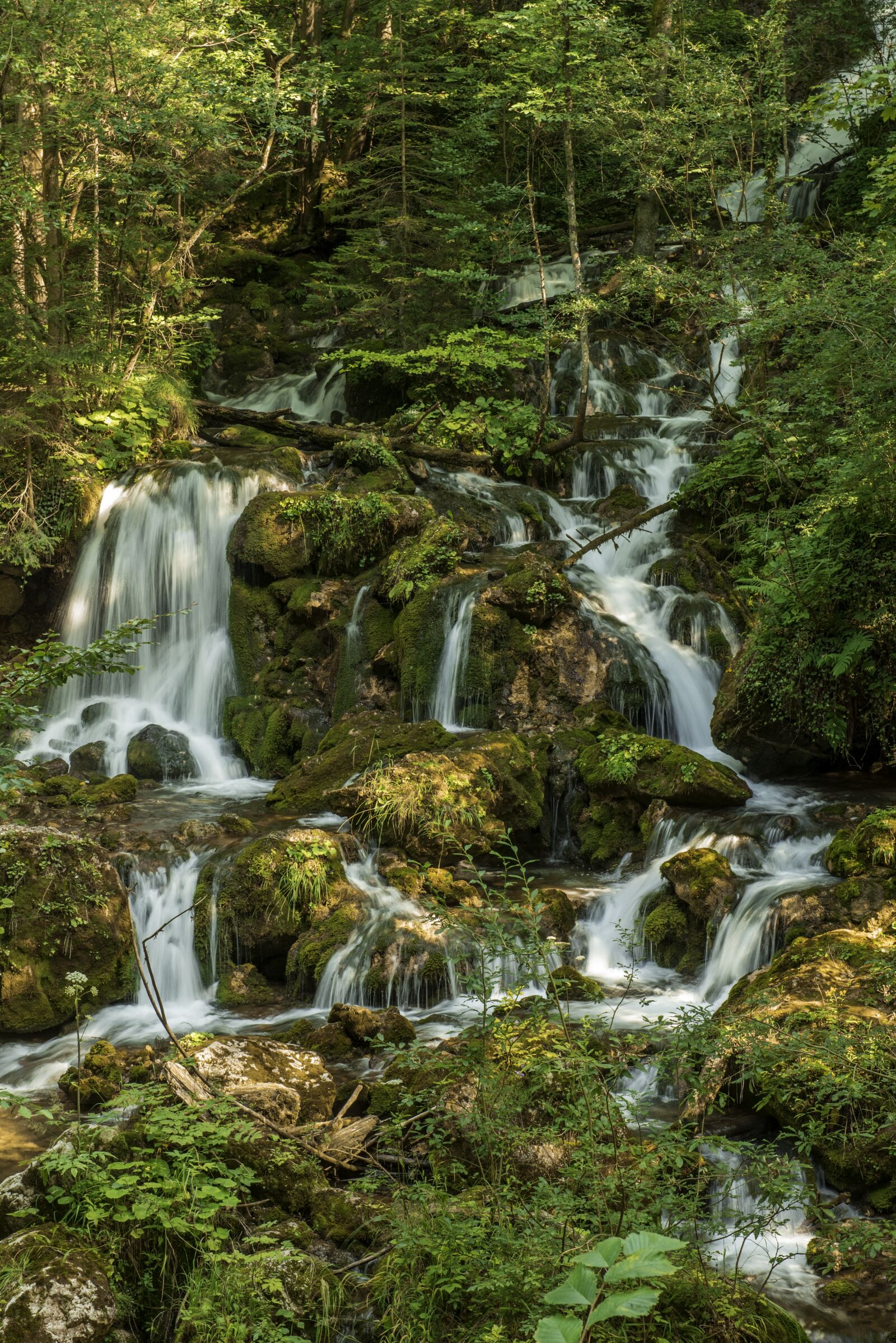 Nikon D750 sample photo. Waterfall bear protective gorge photography