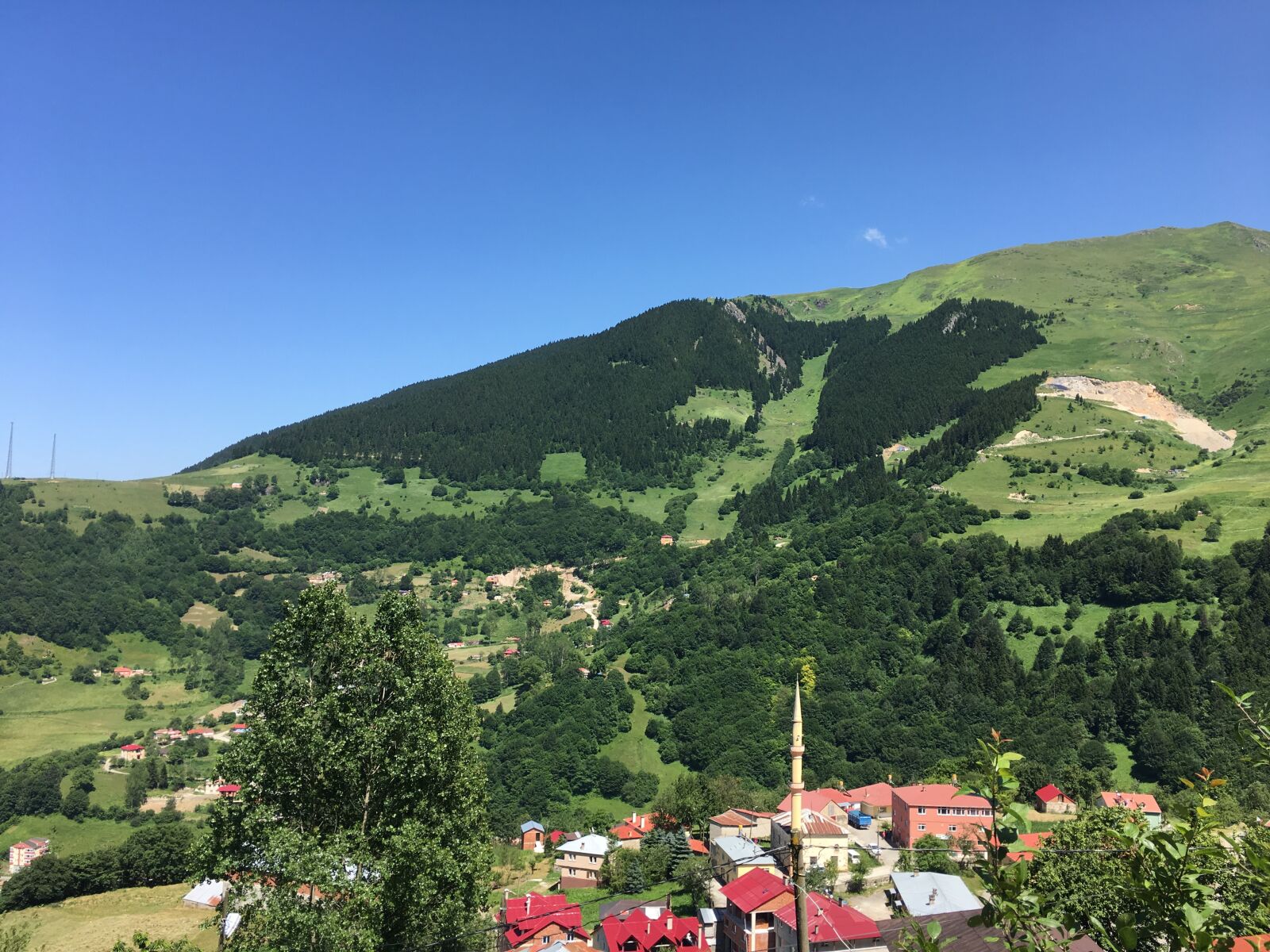 iPhone 6s Plus back camera 4.15mm f/2.2 sample photo. Karadeniz, hamsik y, ma photography