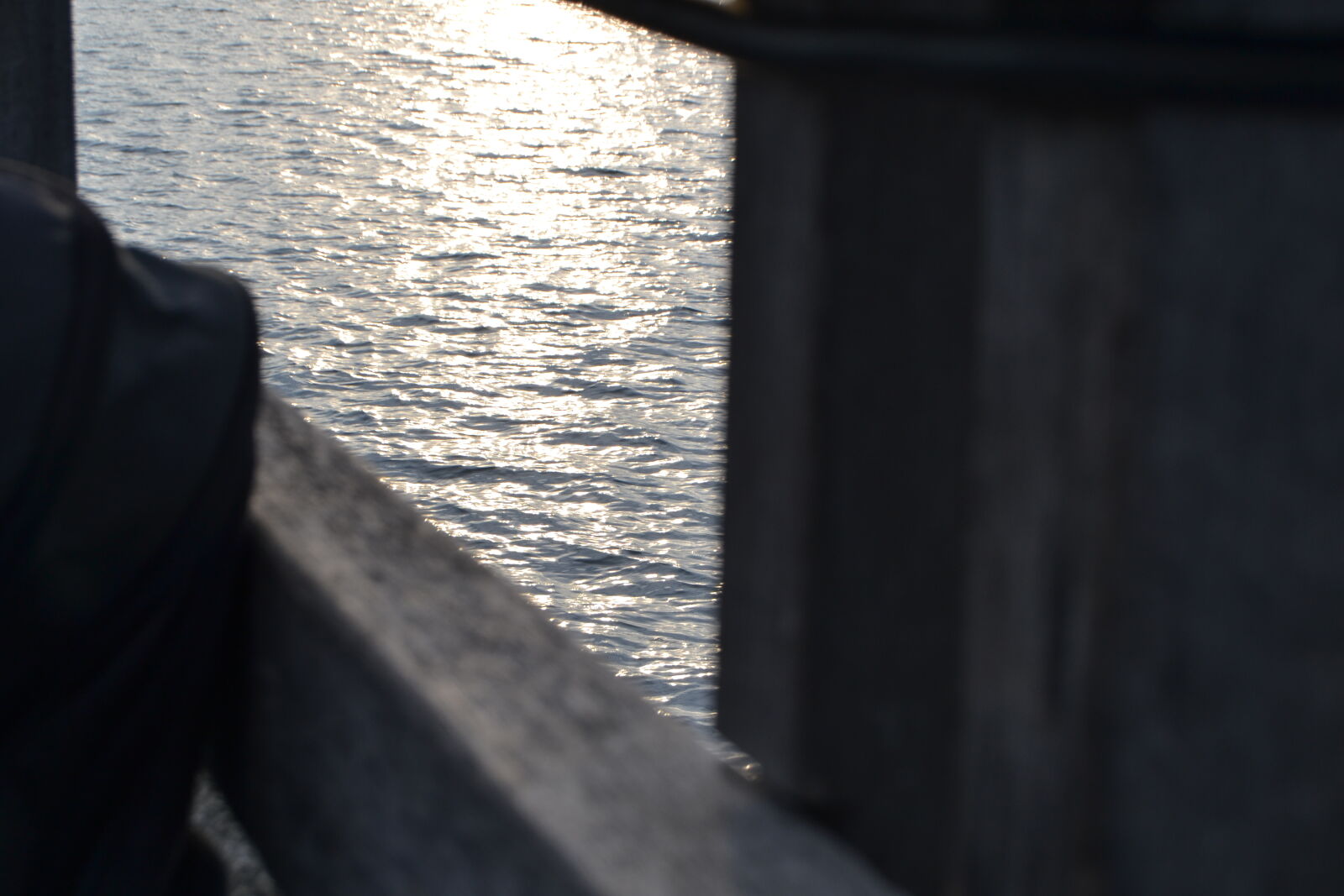 Nikon D3100 sample photo