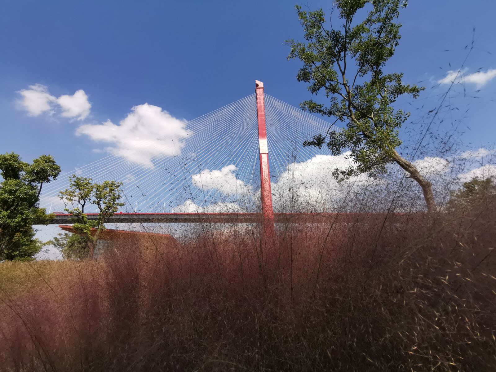 HUAWEI P30 sample photo. Yangpu, bridge, shanghai photography