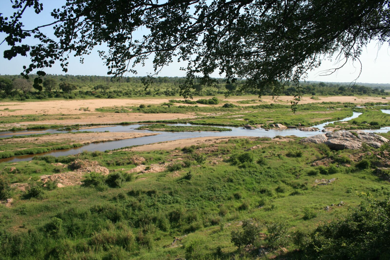 Canon EOS 400D (EOS Digital Rebel XTi / EOS Kiss Digital X) sample photo. River, bush, tree photography
