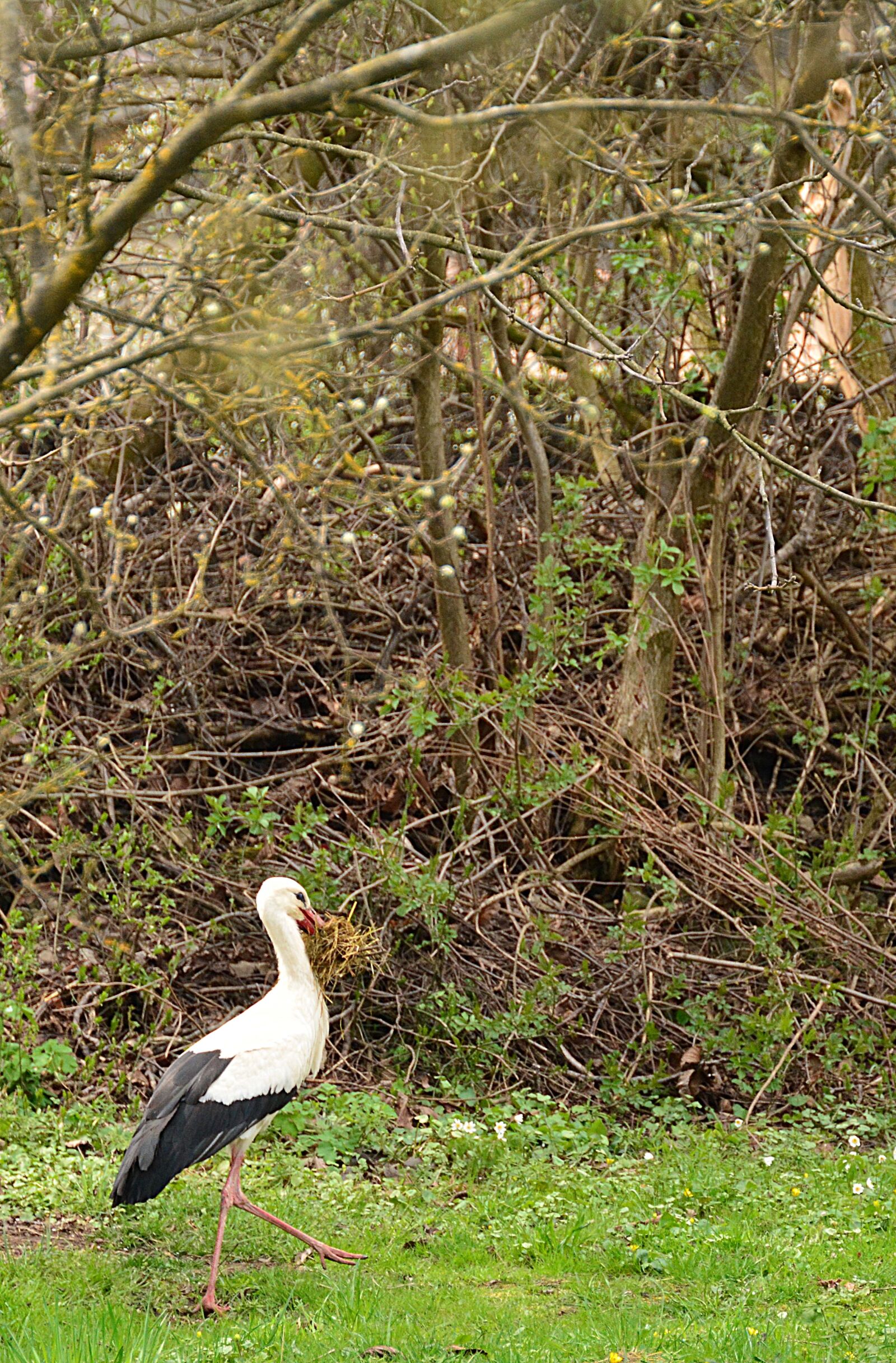 Nikon D7100 sample photo