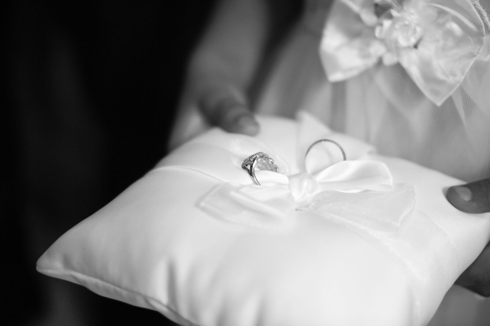 Canon EOS 650D (EOS Rebel T4i / EOS Kiss X6i) sample photo. Union, alliance, bride and photography