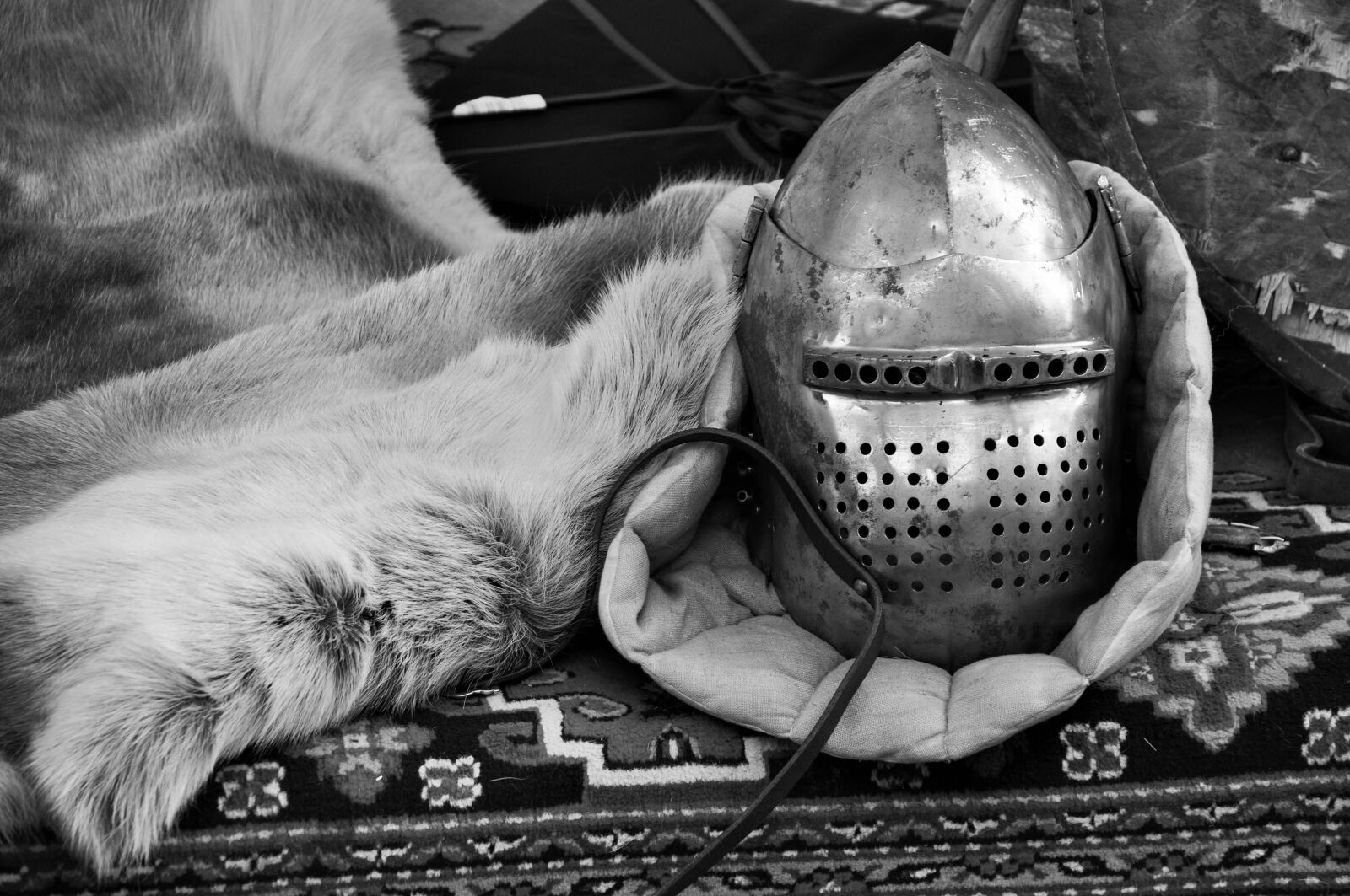Nikon D90 sample photo. Helmet, helm, medieval helmet photography