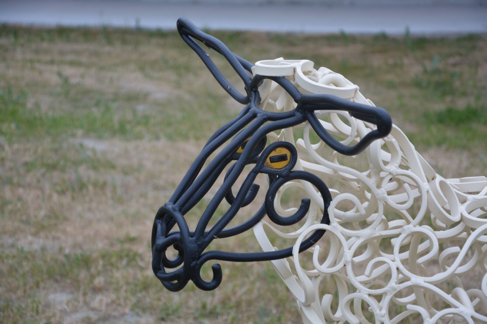 Nikon D5200 sample photo. Sheep head, profile, culture photography