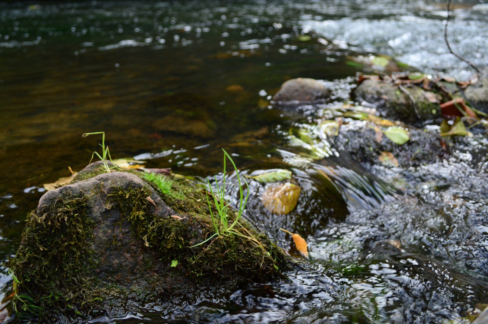 Nikon D3200 sample photo. River, water, stone photography