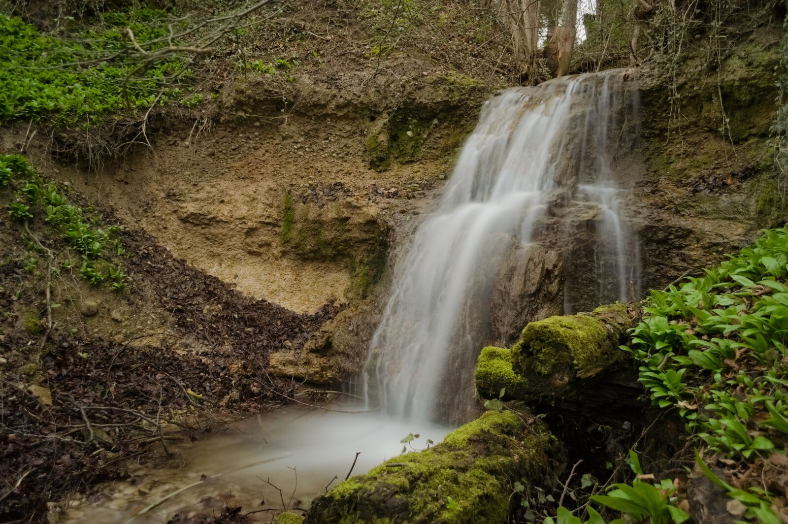 Nikon D90 sample photo. Waterfall, forest, bach photography