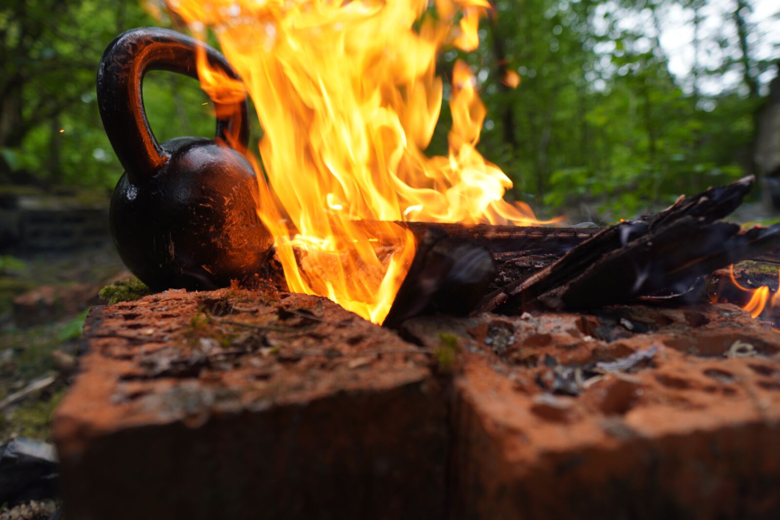Sony a6400 + Sigma 16mm F1.4 DC DN | C sample photo. Carnivore, kettlebell, trening photography