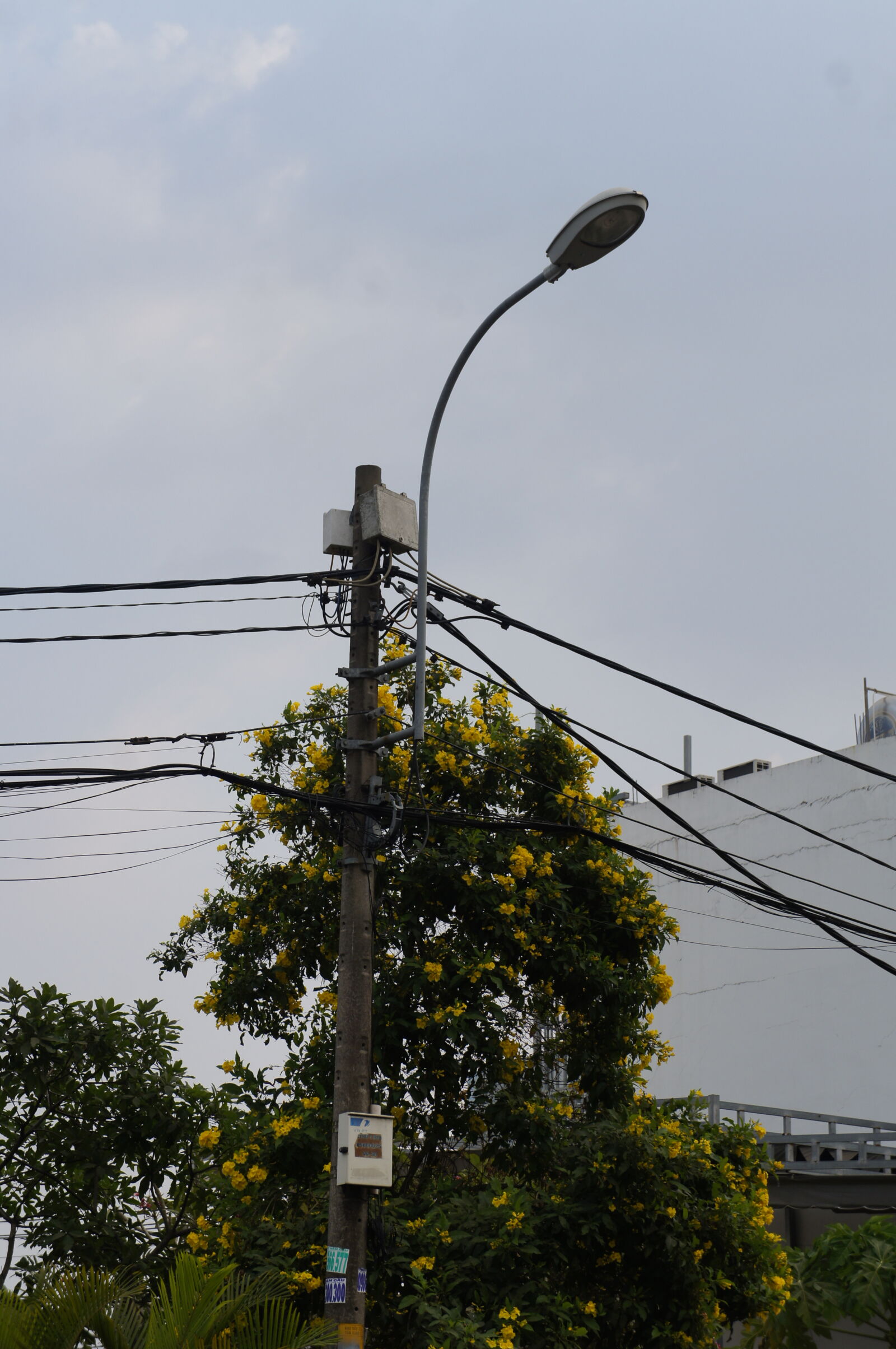 Sony E 18-55mm F3.5-5.6 OSS sample photo