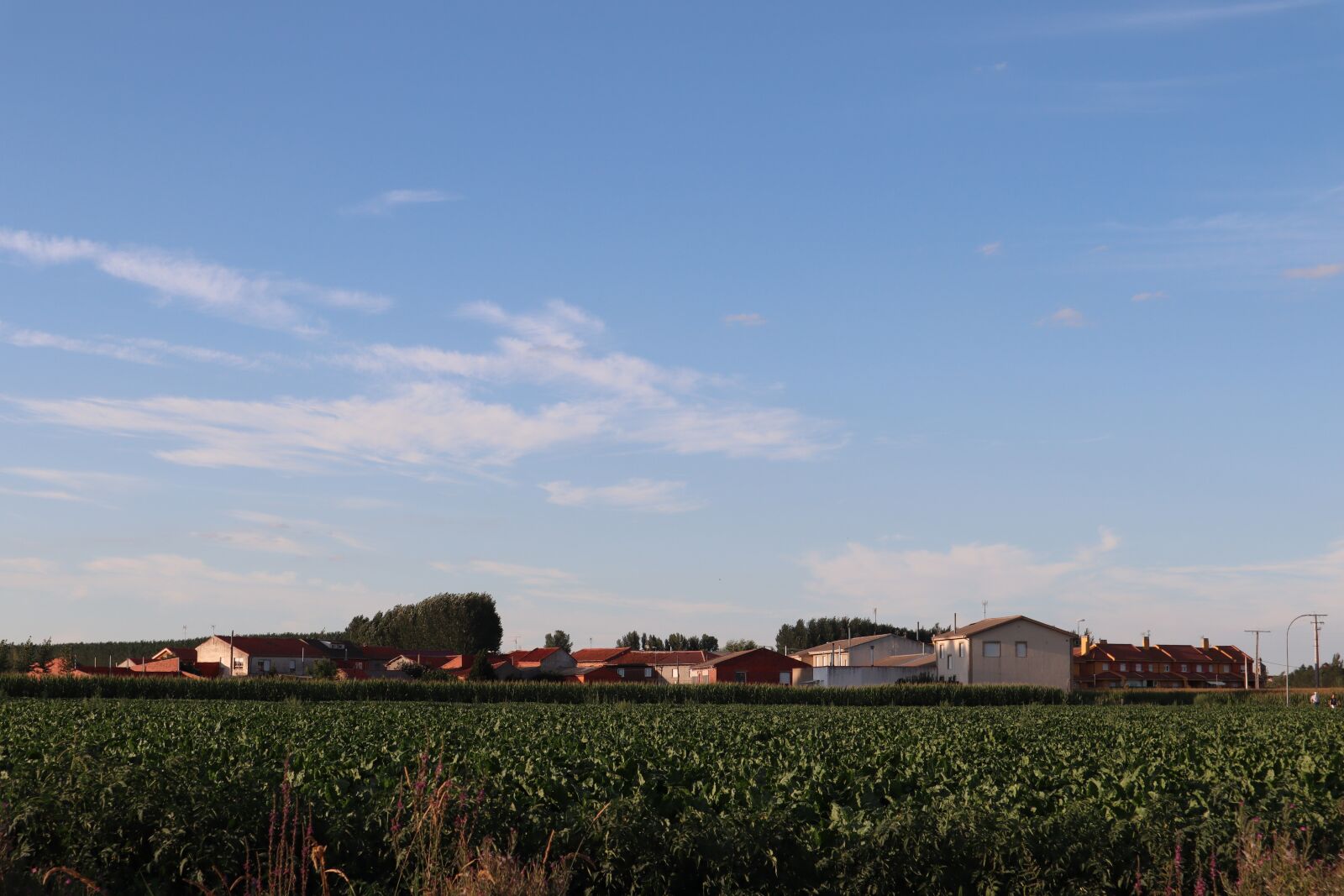 Canon EF-M 15-45mm F3.5-6.3 IS STM sample photo. Landscape, rural landscape, field photography