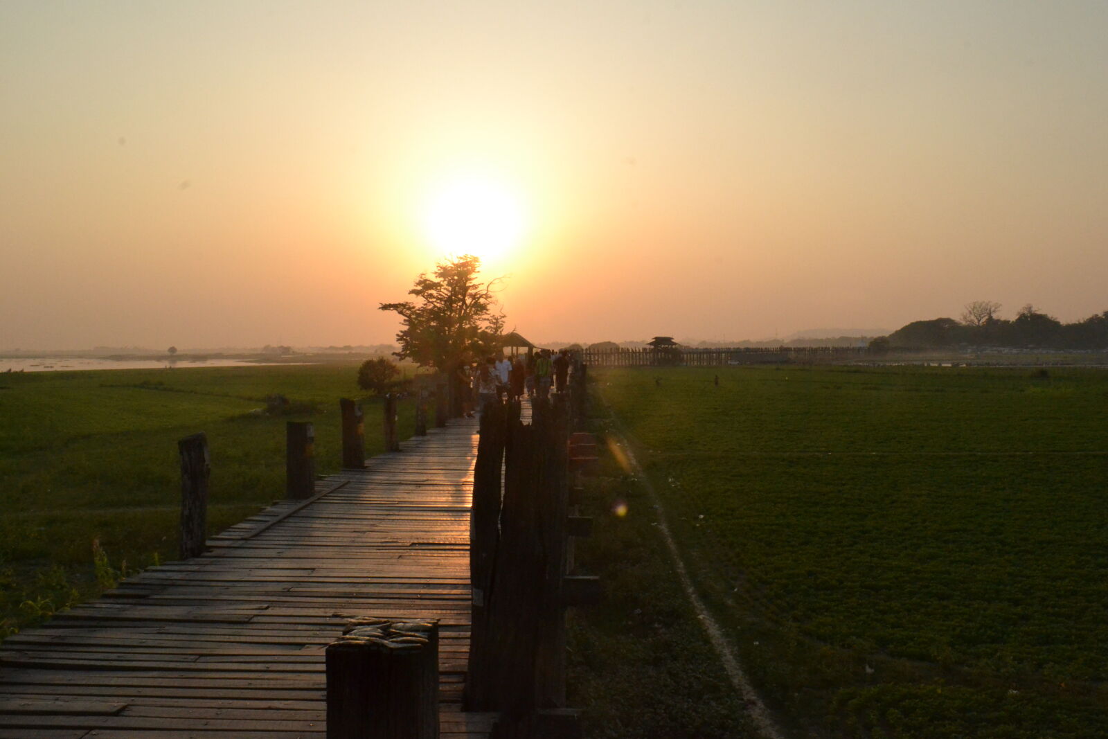 Nikon D3100 sample photo