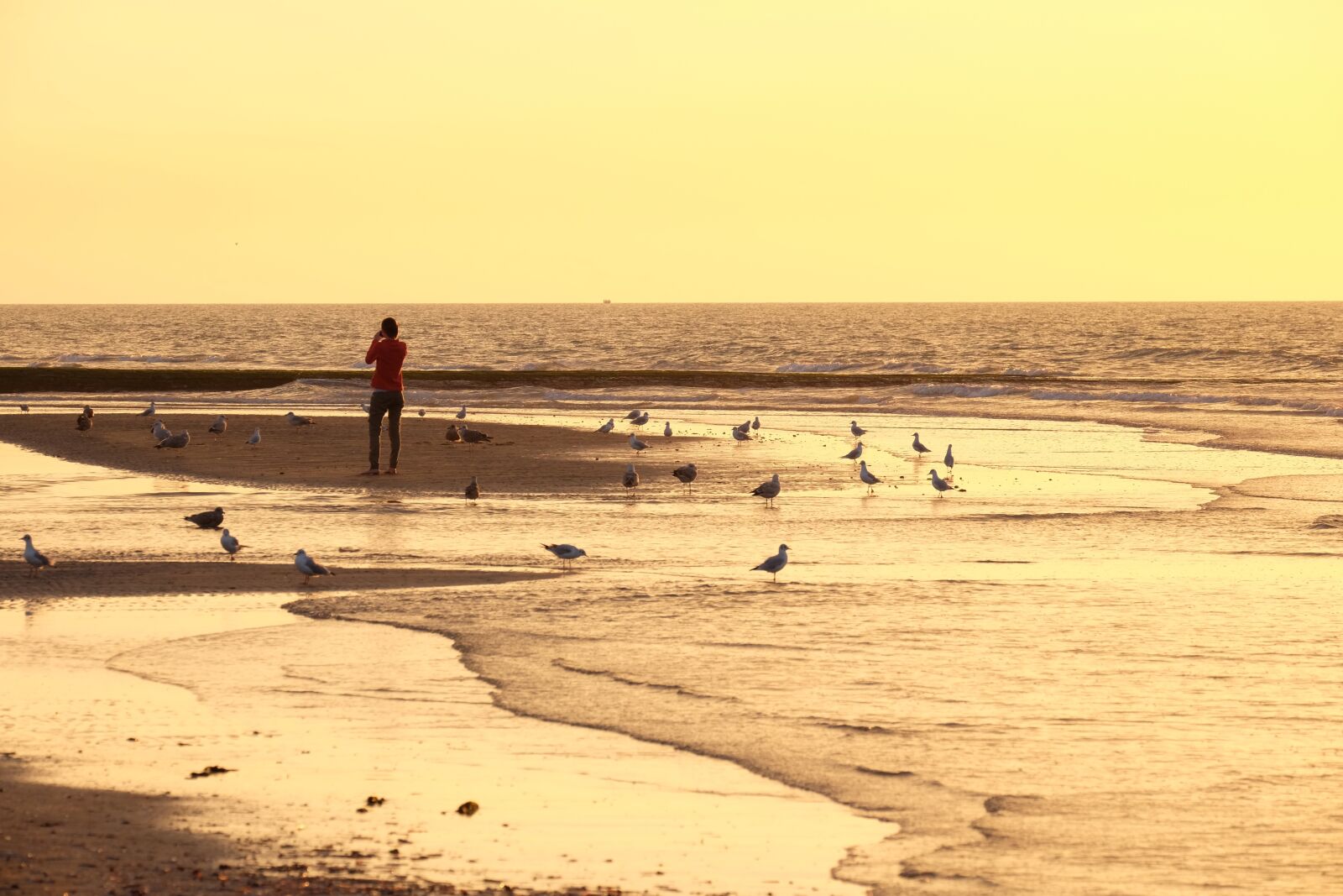 Fujifilm X-M1 + Fujifilm XF 55-200mm F3.5-4.8 R LM OIS sample photo. Beach, belgium, abendstimmung photography