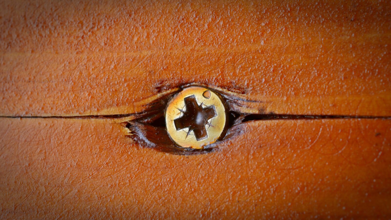 Nikon D5200 sample photo. Screw, spax, wood screws photography