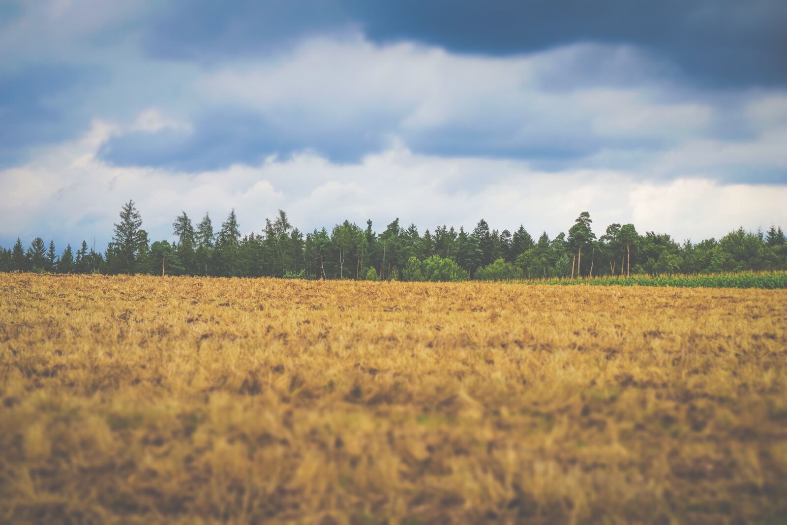 Canon EOS 80D sample photo. Landscape, rain, nature photography