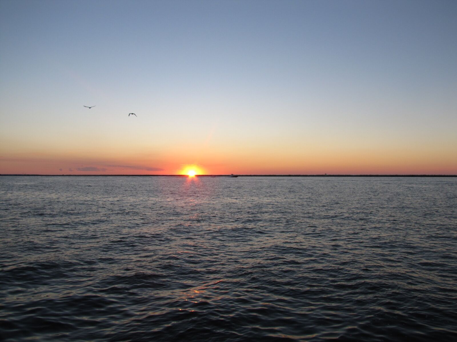 Canon PowerShot SX20 IS sample photo. Sunset, ocean, water photography
