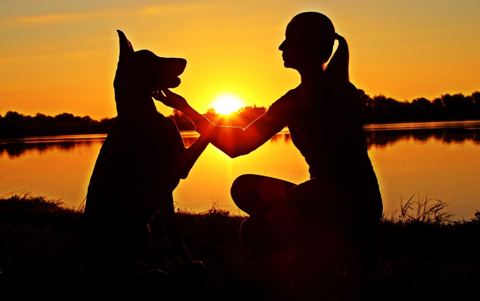 Canon EOS 600D (Rebel EOS T3i / EOS Kiss X5) sample photo. Doberman, woman, silhouette photography