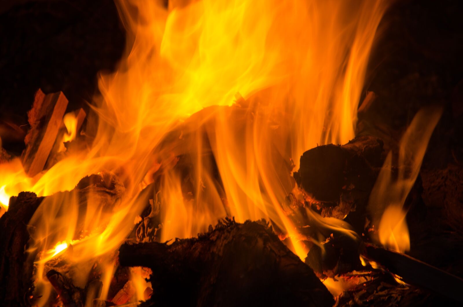 Nikon D5100 sample photo. Campfire, fire, wood photography