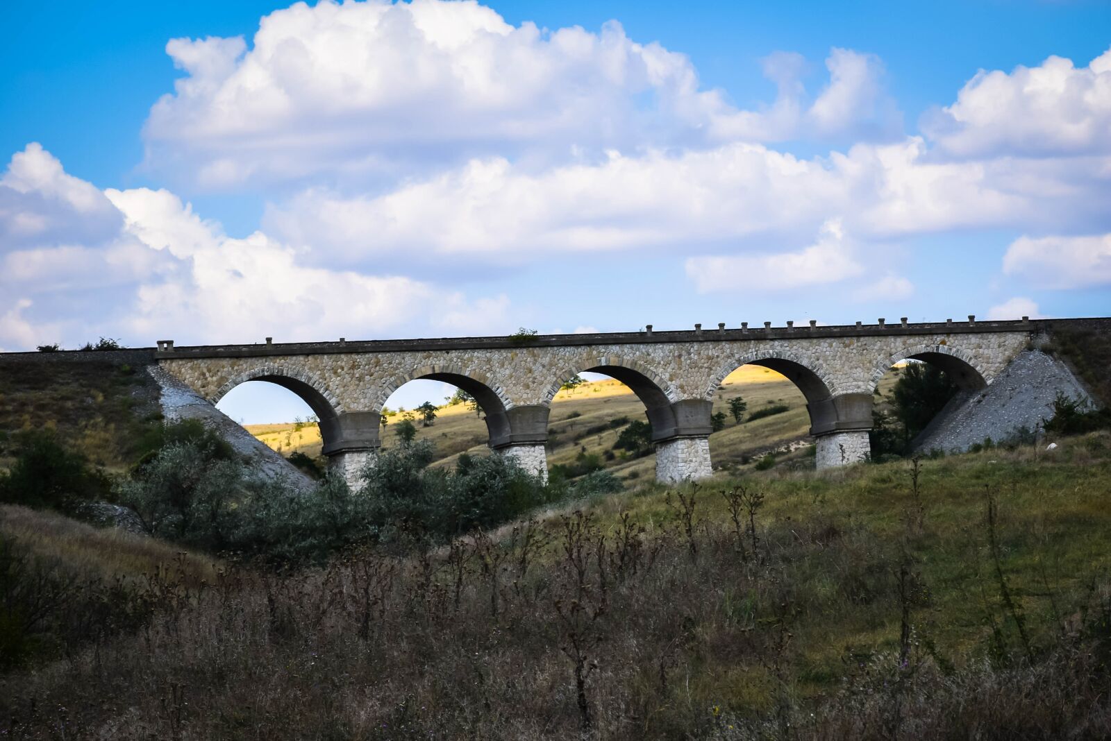 Nikon D5300 sample photo. Bridge, nature, road photography