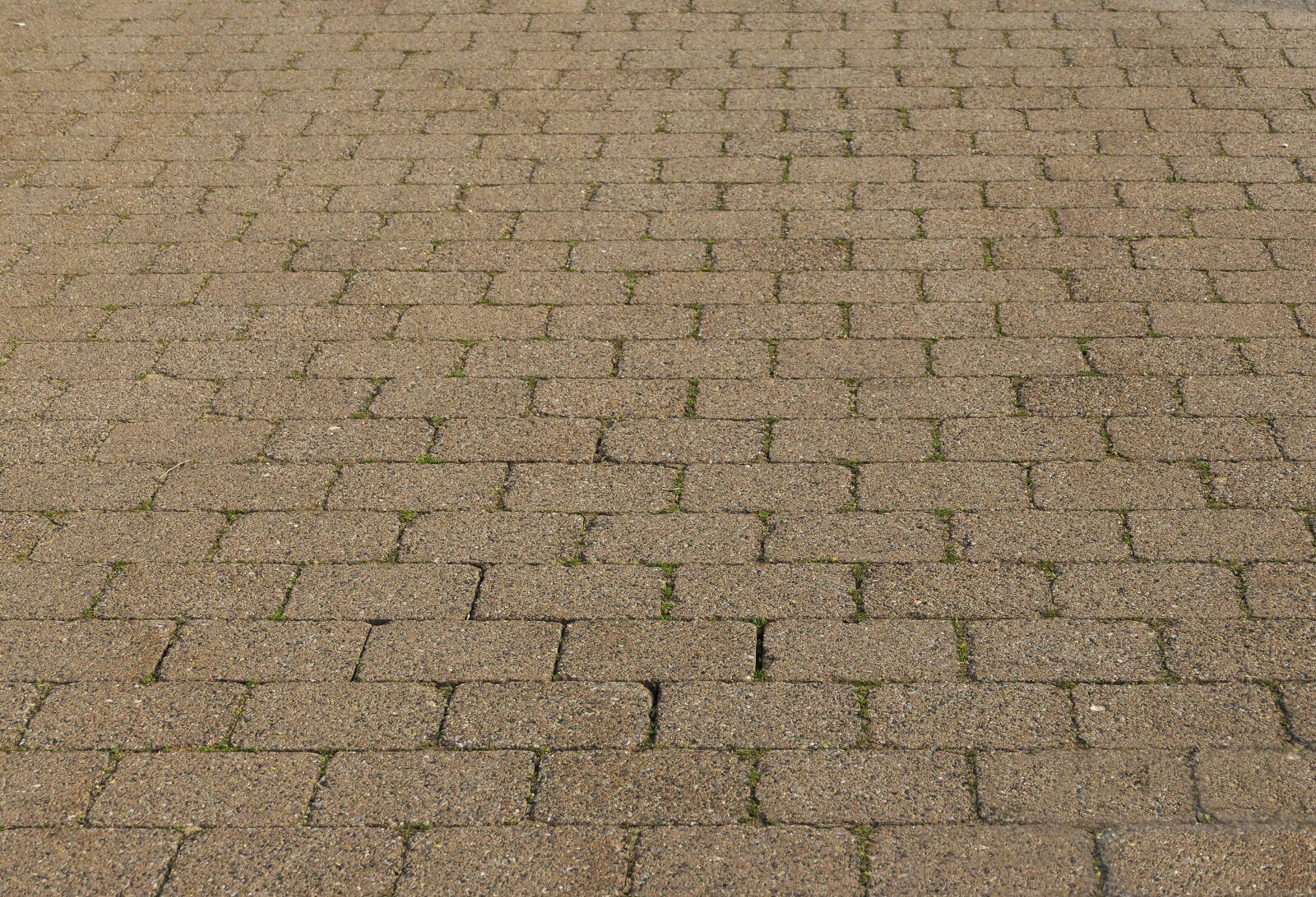 Panasonic Lumix DMC-FZ1000 sample photo. Patch, flooring, paving stones photography