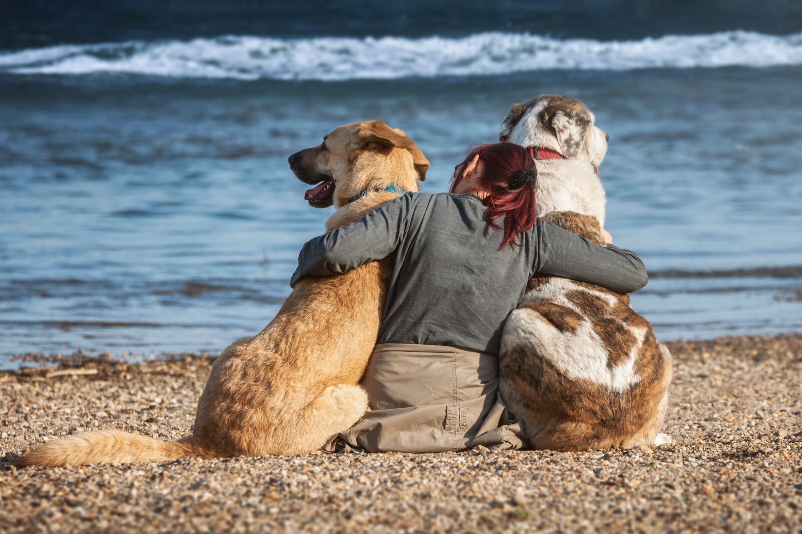Nikon D7200 sample photo. Dogs, friends, trust photography