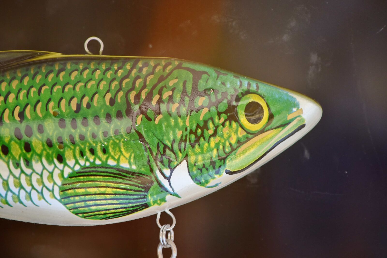 Nikon D5500 sample photo. Fishing gear, object, fish photography