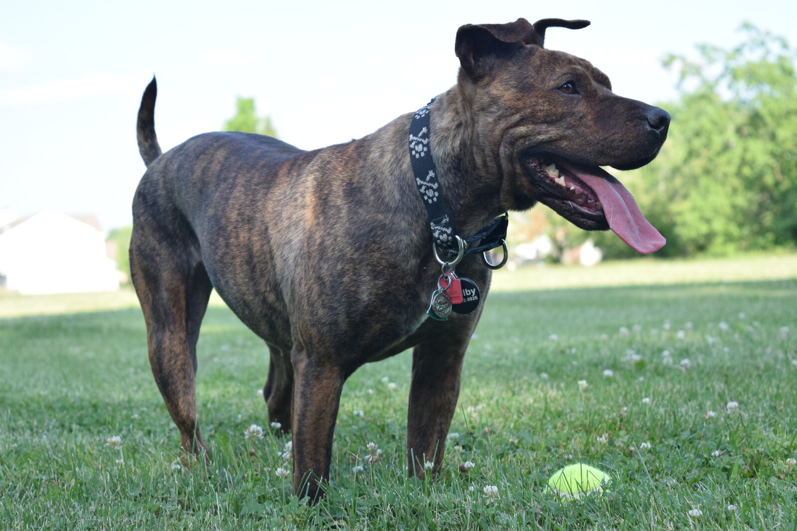 Nikon D3300 sample photo