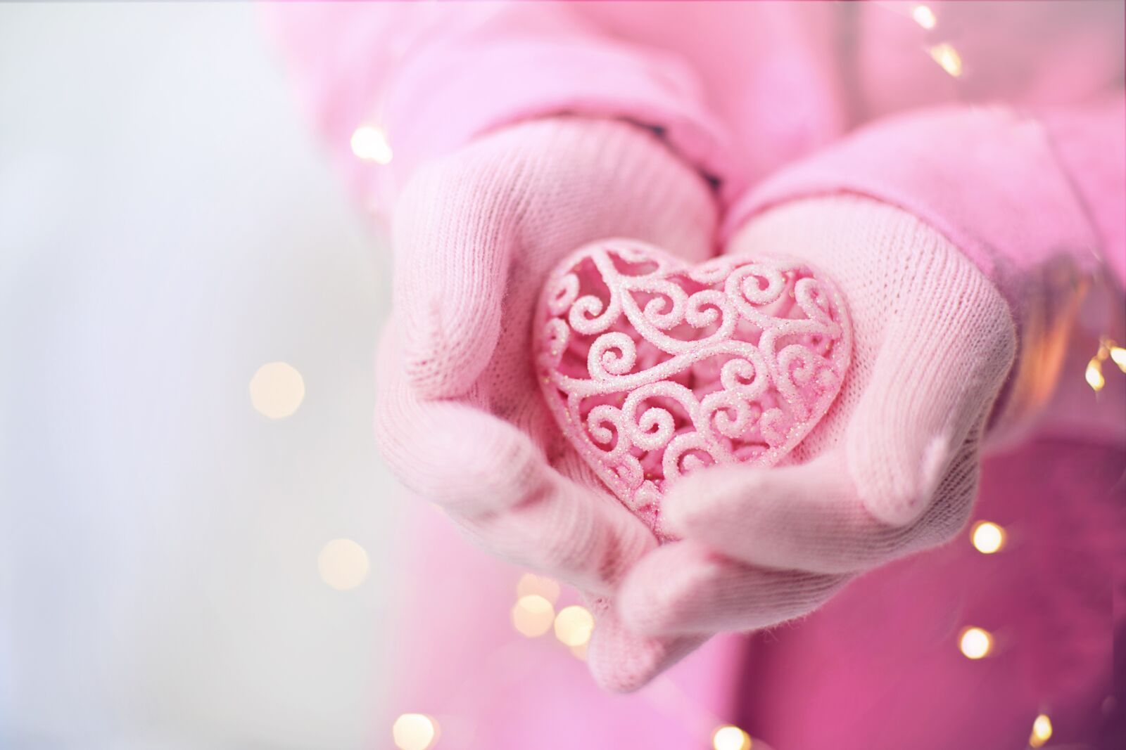 Canon EF 50mm F1.4 USM sample photo. Valentine's day, valentine, heart photography