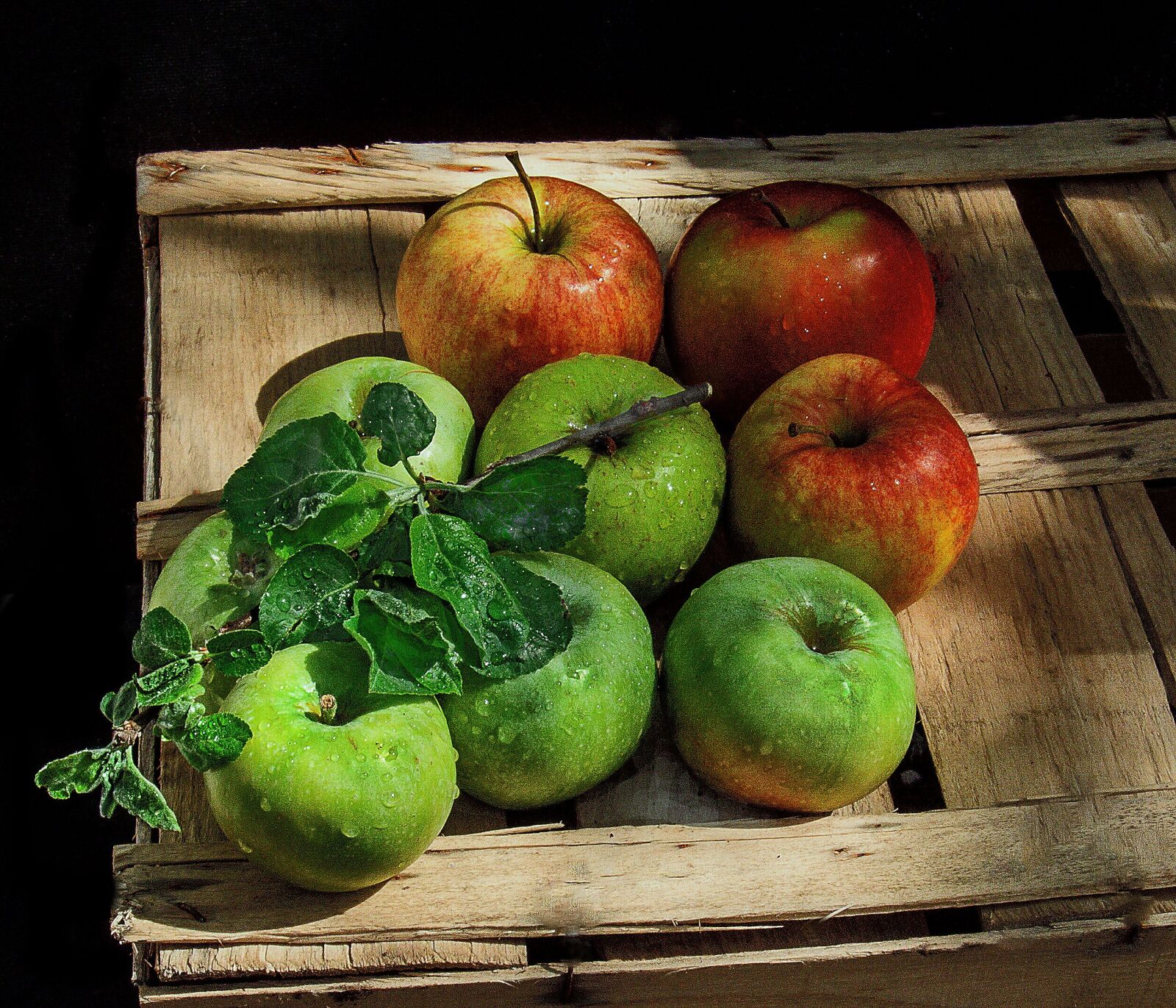 Canon PowerShot A590 IS sample photo. Still life, apples, box photography