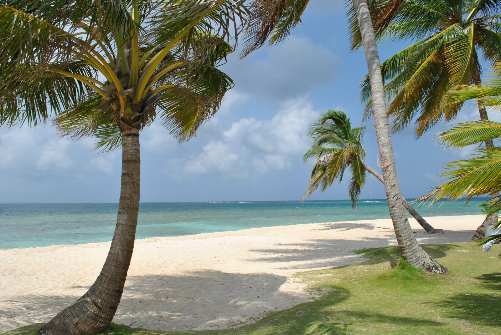 Nikon D3000 sample photo. Nature, beach, sea photography