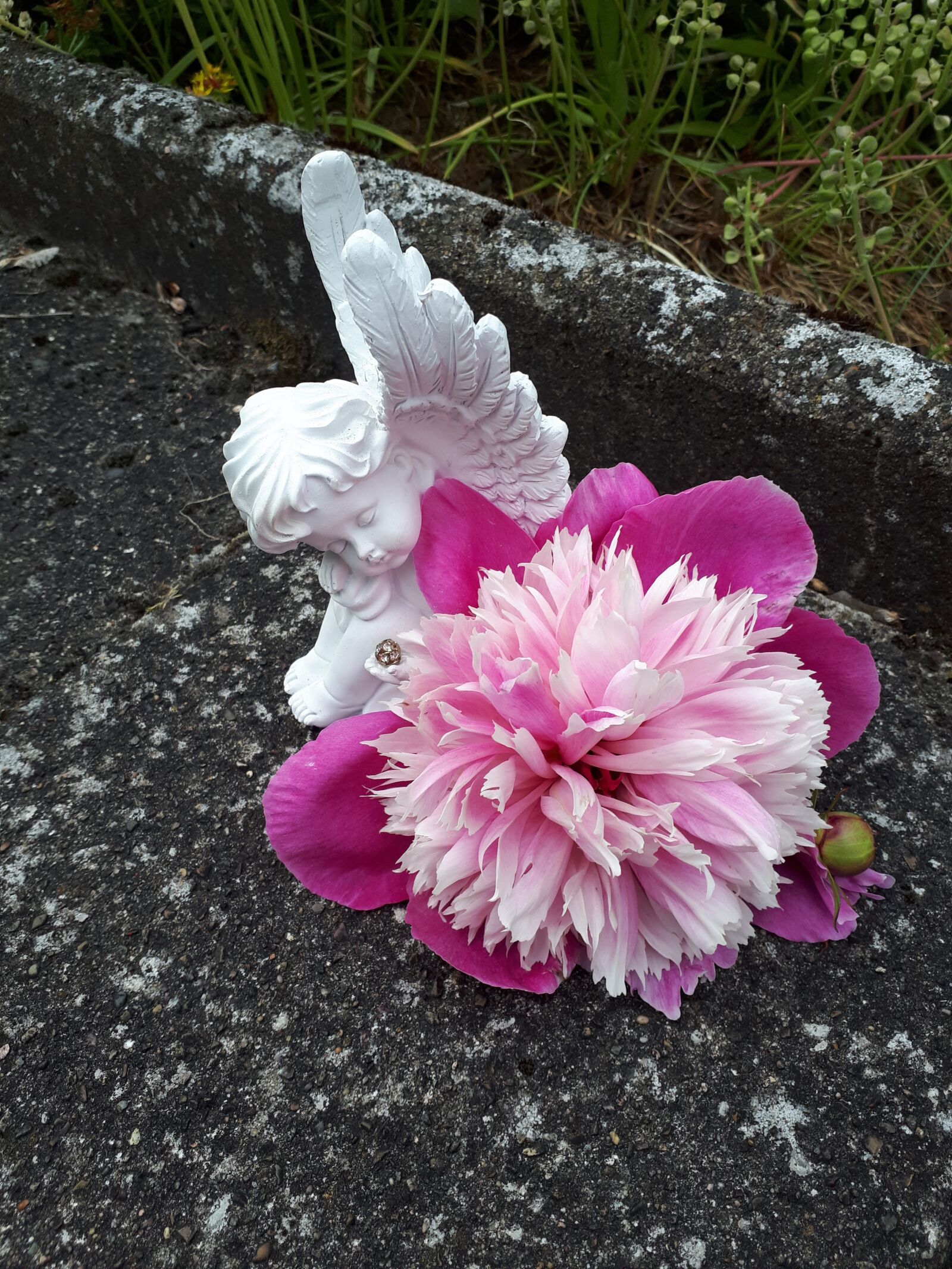 Samsung Galaxy A5(2017) sample photo. Angel, purple, flower photography