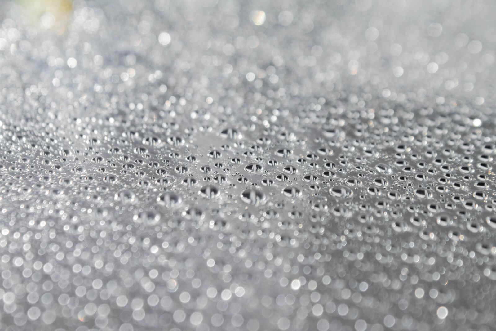 Canon EOS 70D sample photo. Splash, water, droplets photography