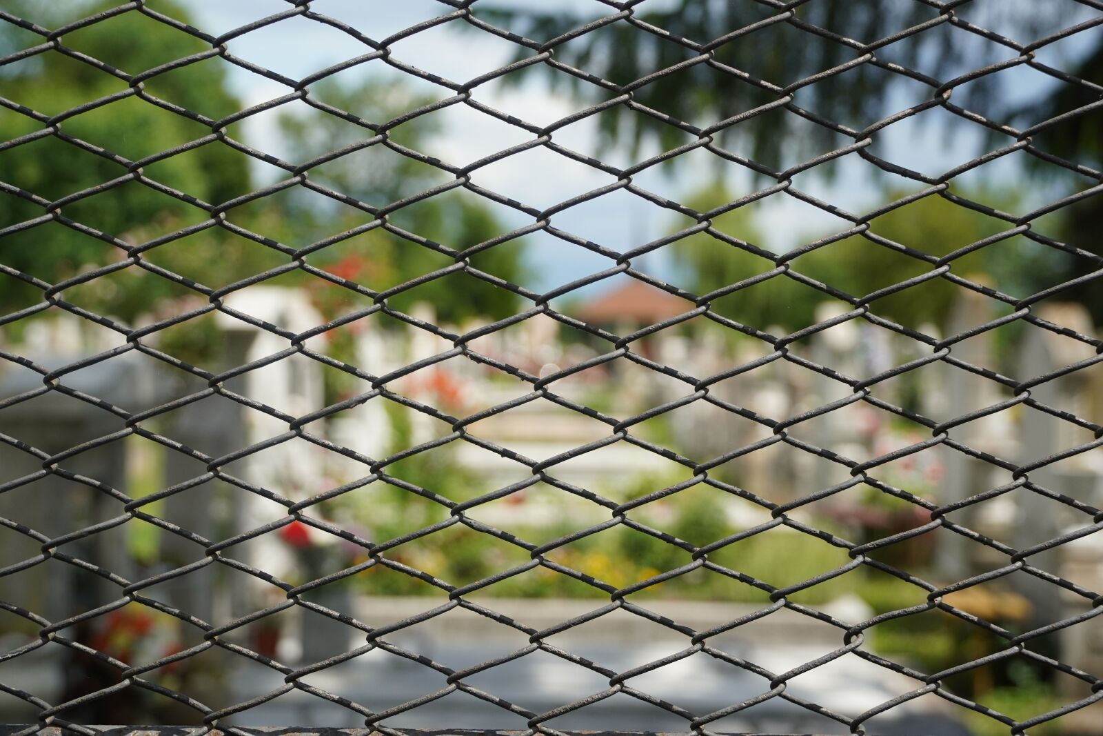 Sony a6400 sample photo. Fence, cemetery, background photography