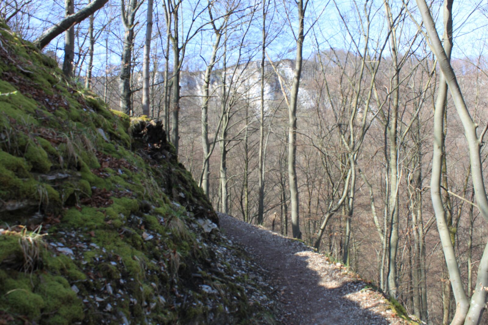 Canon EOS 500D (EOS Rebel T1i / EOS Kiss X3) sample photo. Mountain, germany, path photography