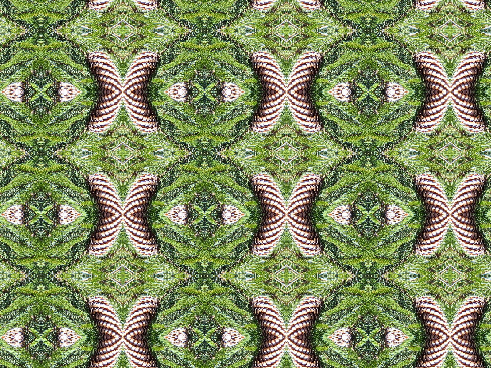 Sony DSC-HX200V sample photo. Texture, graphics, pattern photography