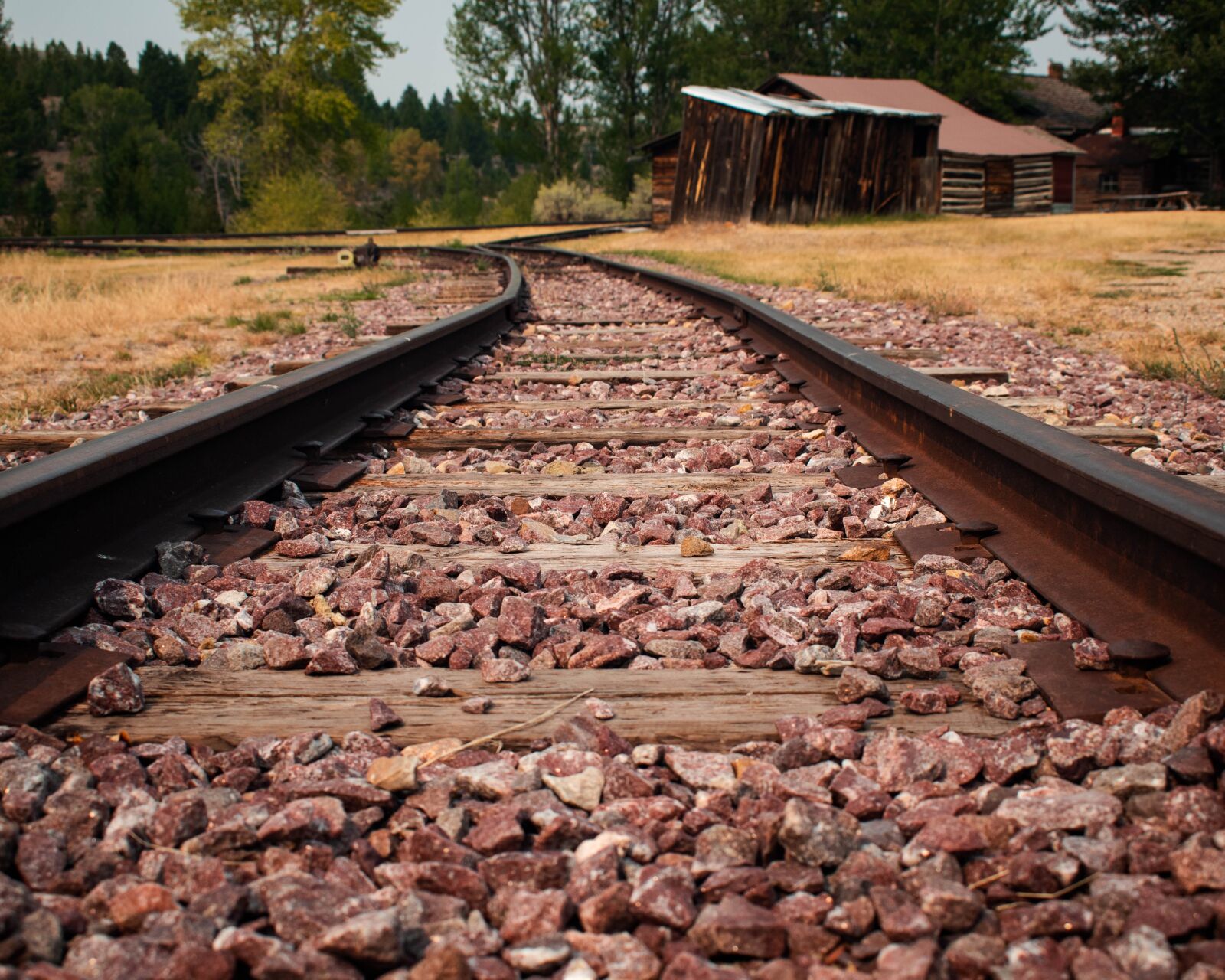 Nikon D5600 sample photo. Tracks, railroad, train photography