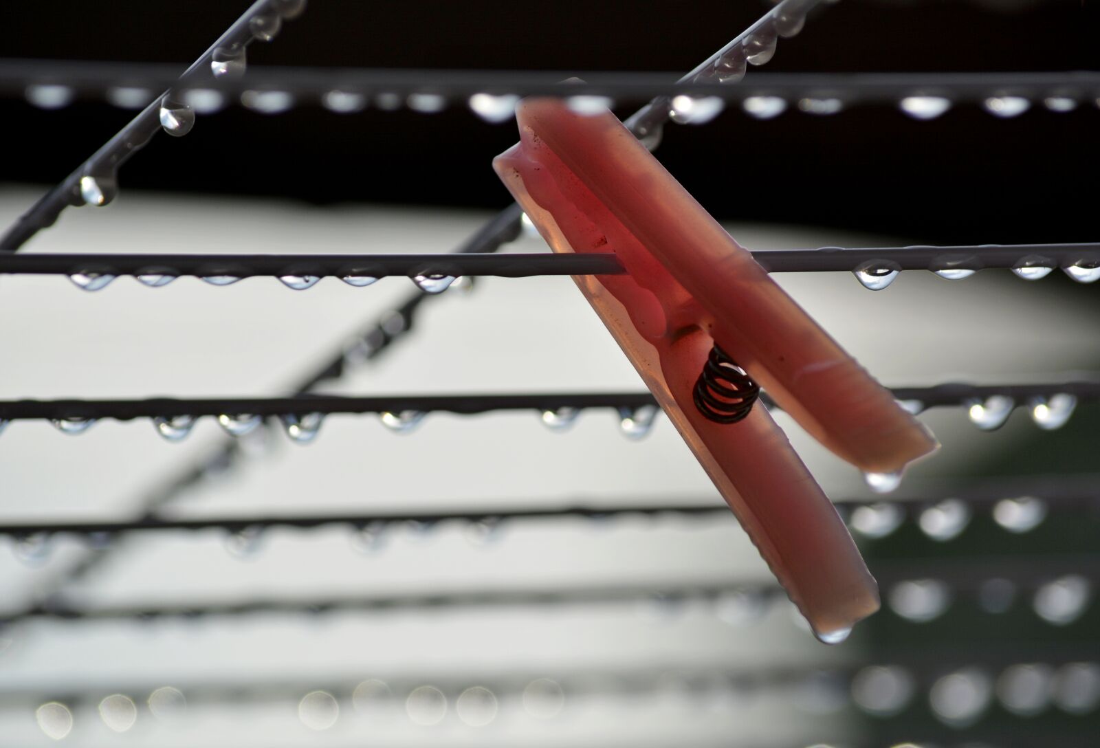 Nikon D5200 sample photo. After rain, clothes pin photography