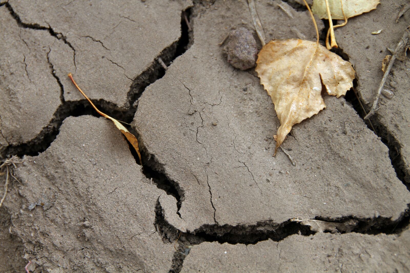 Canon EOS 7D sample photo. Dry, desert, hot photography