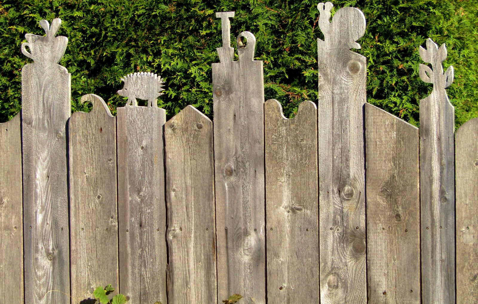 Canon POWERSHOT SX432 IS sample photo. Wood, fence, boards photography