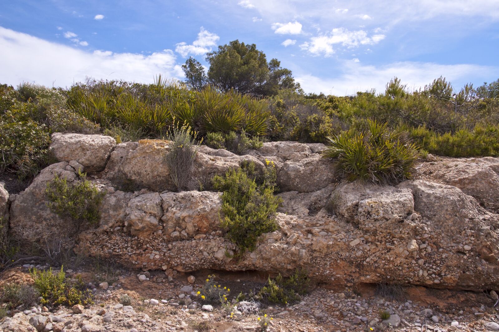 Nikon D50 sample photo. Beach alcocebre spain, nature photography