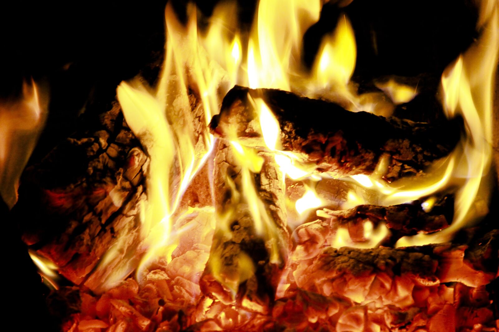 Canon EOS 650D (EOS Rebel T4i / EOS Kiss X6i) sample photo. Fire, coals, burn photography
