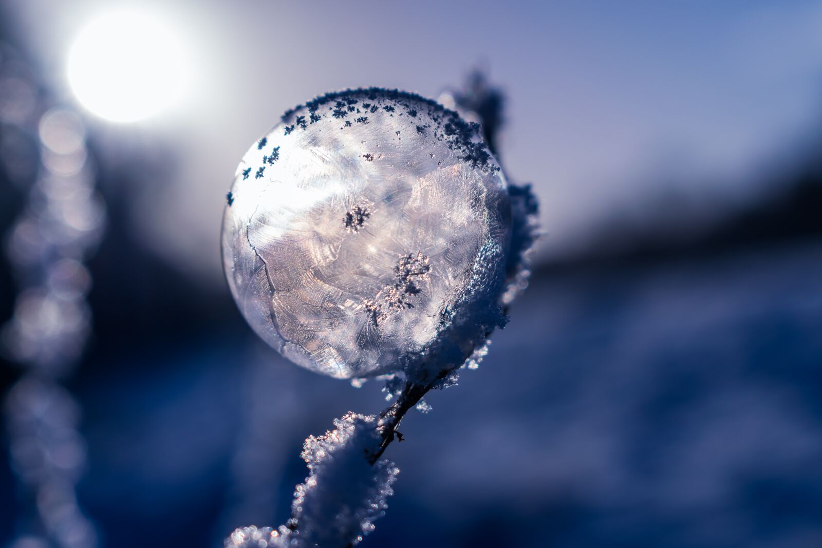 Nikon D5300 sample photo. Soap bubble, frozen, frozen photography