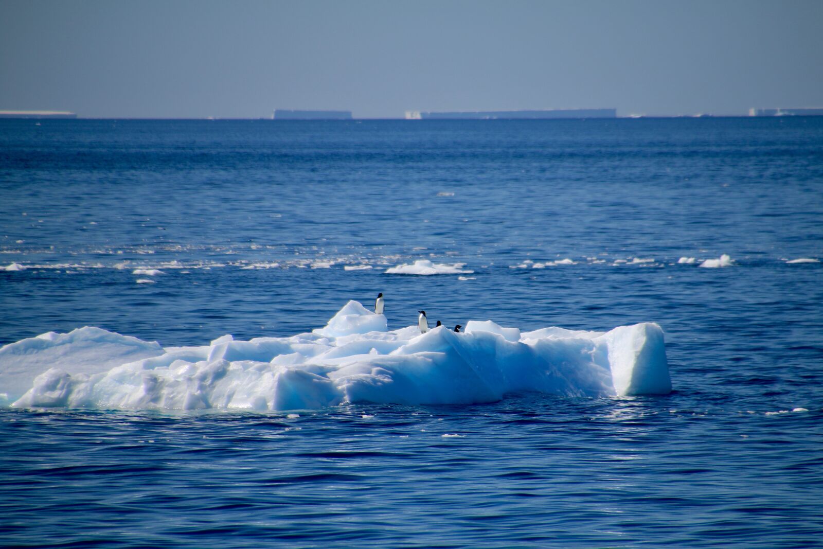 Canon EOS 70D sample photo. Antarctica, antarctica peninsula, weddell photography